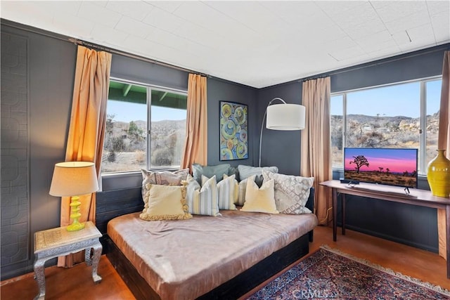 sitting room with a wealth of natural light