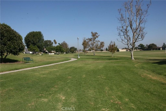 view of community with a yard