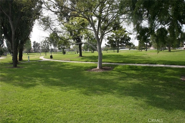 view of property's community featuring a lawn