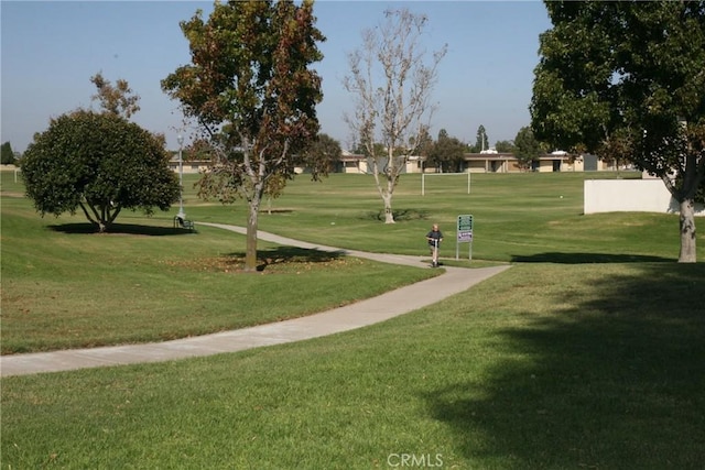 view of community featuring a yard