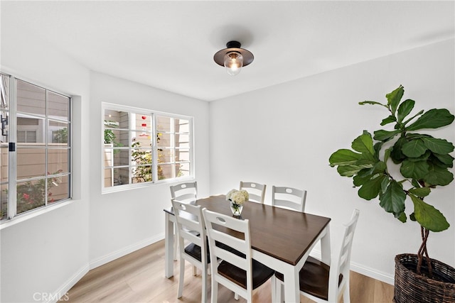 dining room with light hardwood / wood-style flooring