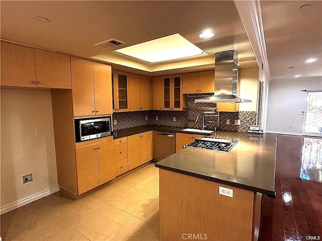 kitchen with sink, a tray ceiling, island exhaust hood, stainless steel appliances, and backsplash