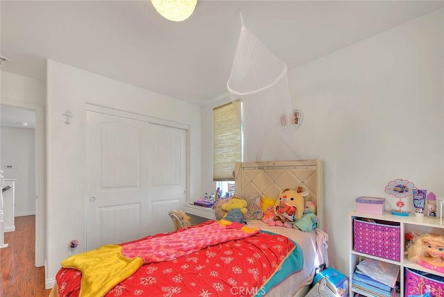 bedroom featuring wood-type flooring and a closet