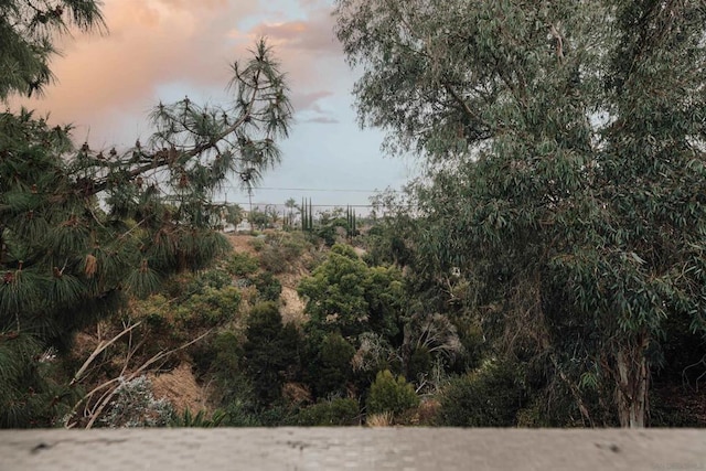 view of nature at dusk