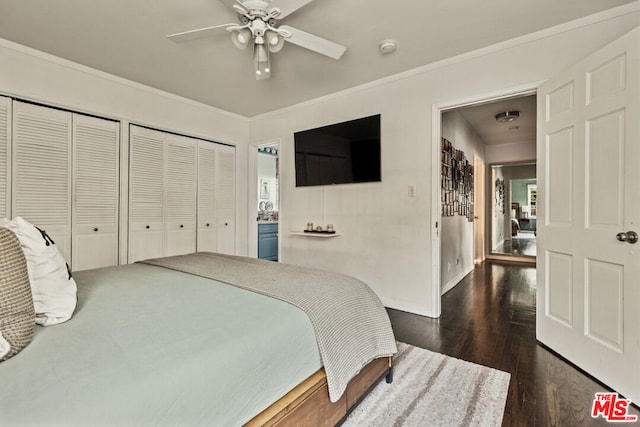 bedroom with multiple closets, ornamental molding, ceiling fan, and dark hardwood / wood-style flooring