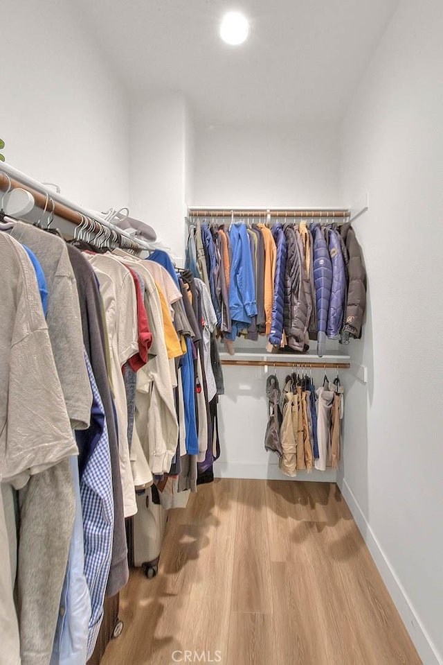 walk in closet with light wood-type flooring