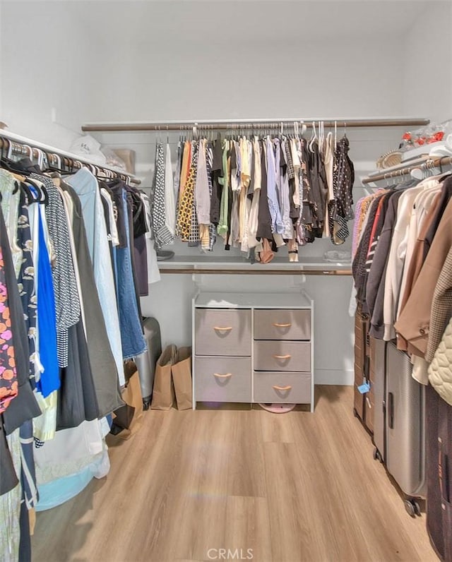 walk in closet featuring light hardwood / wood-style floors