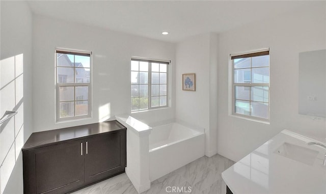 bathroom featuring vanity, plenty of natural light, and a tub