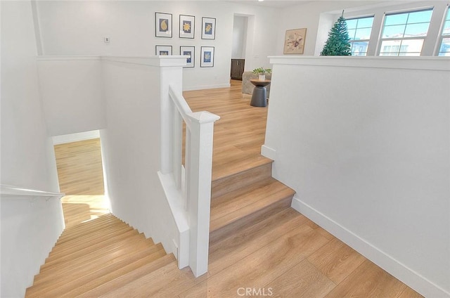 stairway featuring hardwood / wood-style floors