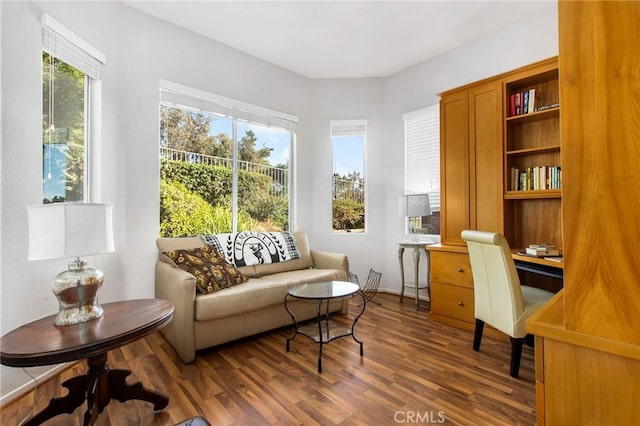 living area featuring dark hardwood / wood-style floors and a wealth of natural light