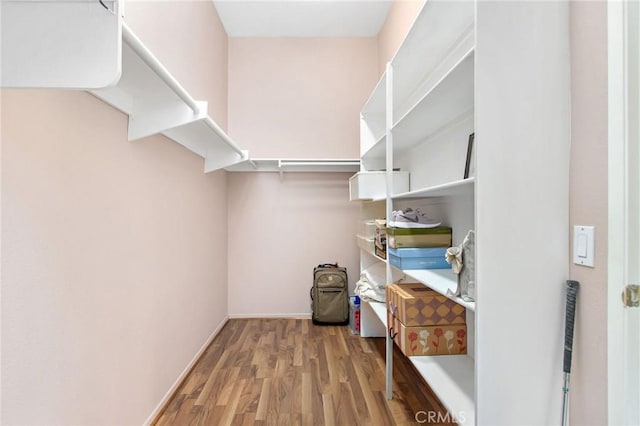 spacious closet with hardwood / wood-style flooring