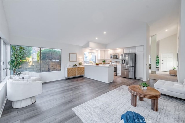 living room featuring hardwood / wood-style flooring, a wealth of natural light, and high vaulted ceiling