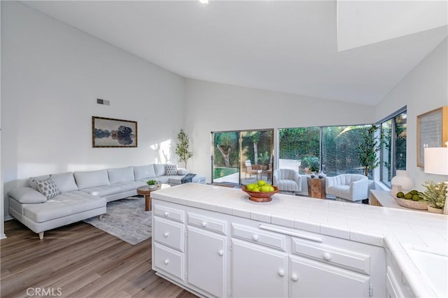 living room with lofted ceiling and light wood-type flooring