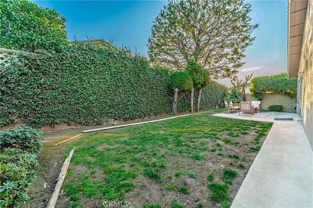 view of yard featuring a patio