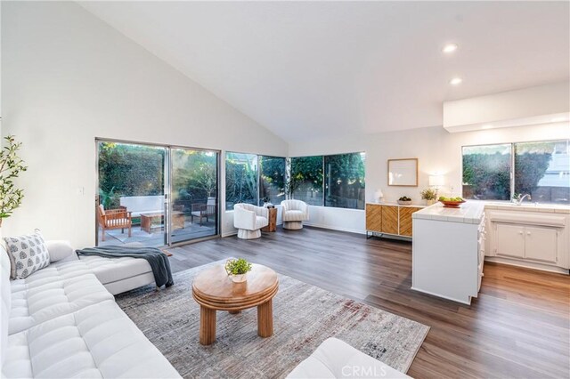 living room featuring a wealth of natural light, high vaulted ceiling, and dark hardwood / wood-style floors