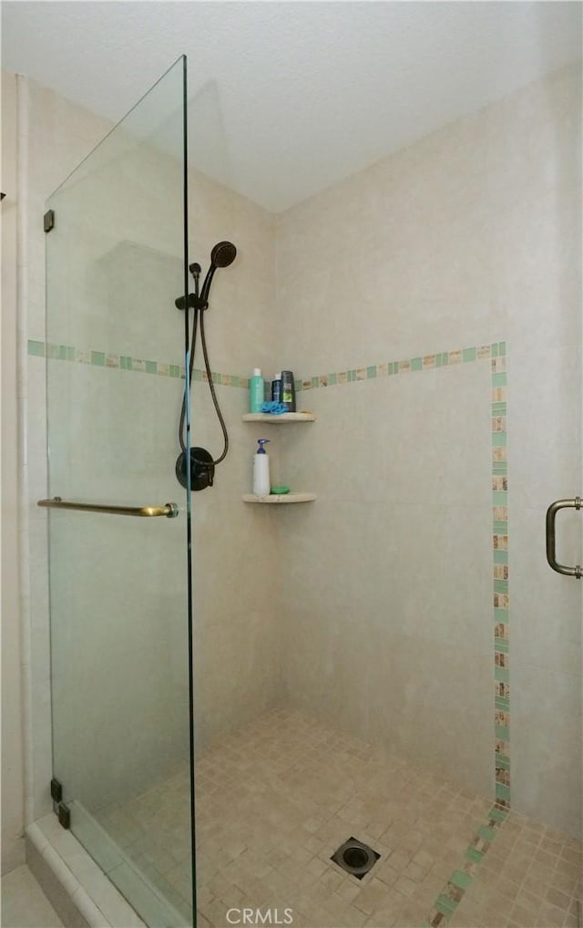 bathroom featuring a shower with shower door