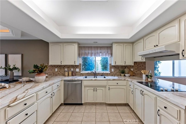 kitchen featuring a tray ceiling, sink, stainless steel dishwasher, and cream cabinetry