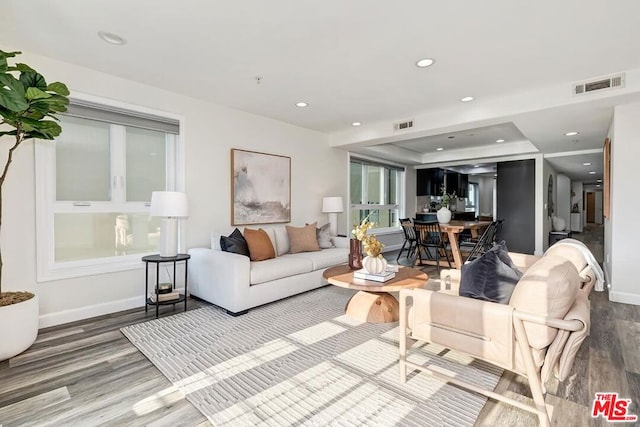 living room featuring wood-type flooring