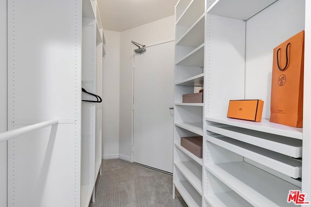 spacious closet with carpet flooring