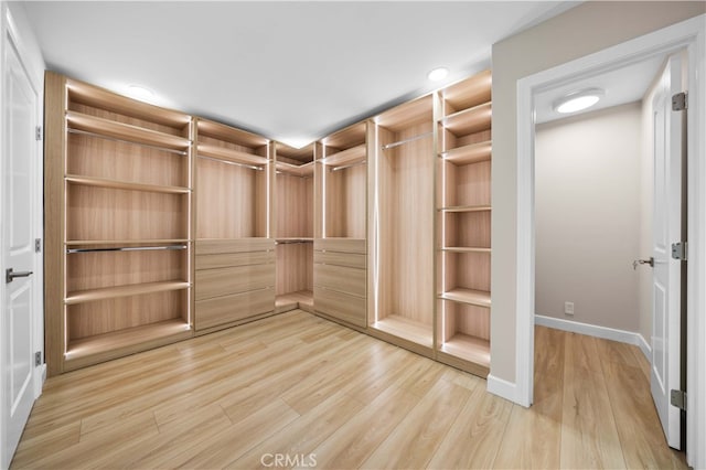 spacious closet featuring hardwood / wood-style floors