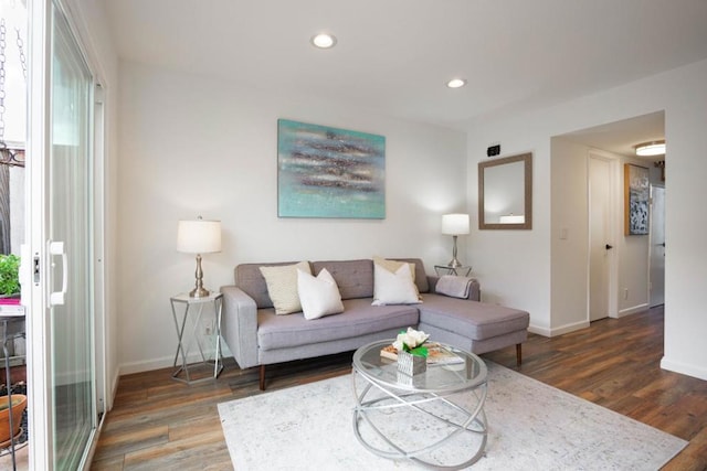 living room featuring dark wood-type flooring