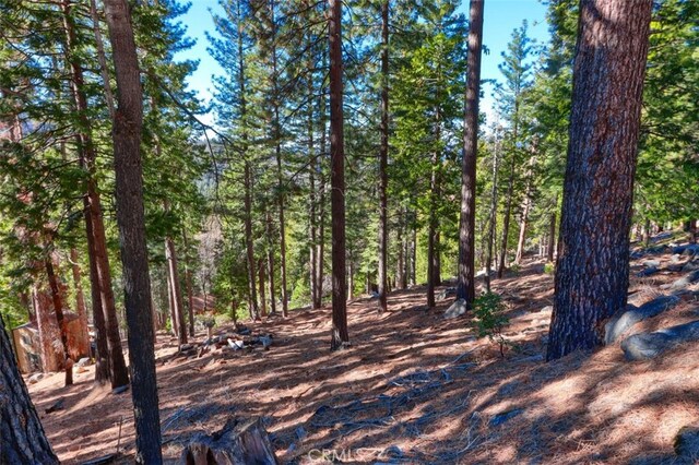 7349 Yosemite Park Way, Yosemite CA, 95389 land for sale