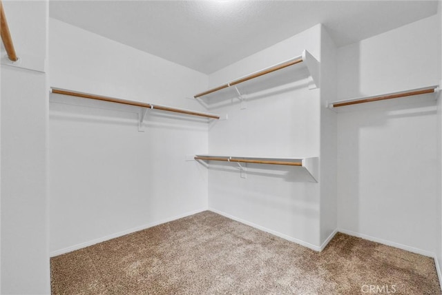 walk in closet with light colored carpet