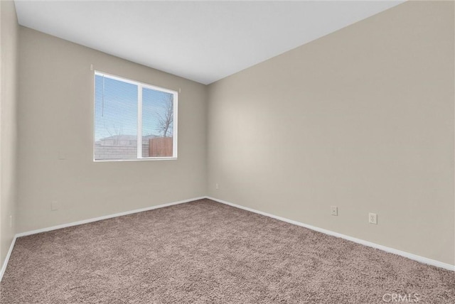 empty room featuring carpet floors