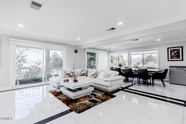 living room with crown molding, a healthy amount of sunlight, and light tile patterned floors