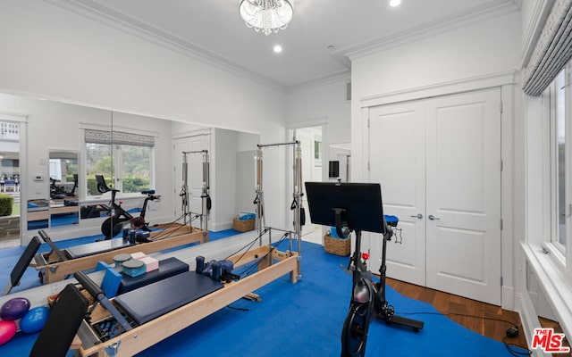 exercise room with hardwood / wood-style flooring and ornamental molding