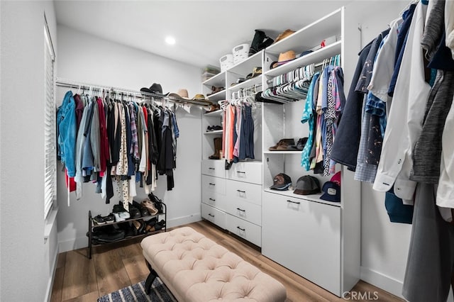 walk in closet featuring wood-type flooring