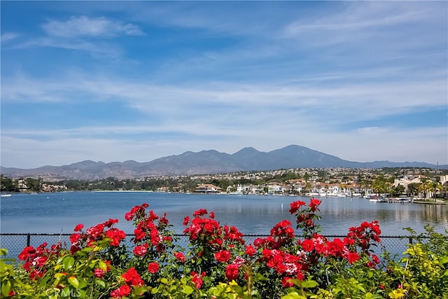 property view of water with a mountain view