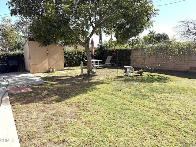 view of yard with a storage shed