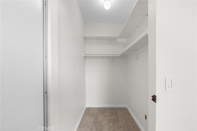 spacious closet featuring light colored carpet