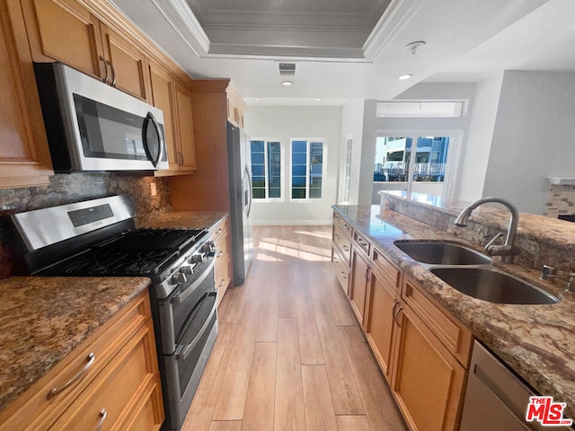 kitchen with sink, light hardwood / wood-style flooring, stone counters, stainless steel appliances, and a raised ceiling