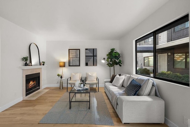 living room featuring a fireplace and light hardwood / wood-style floors