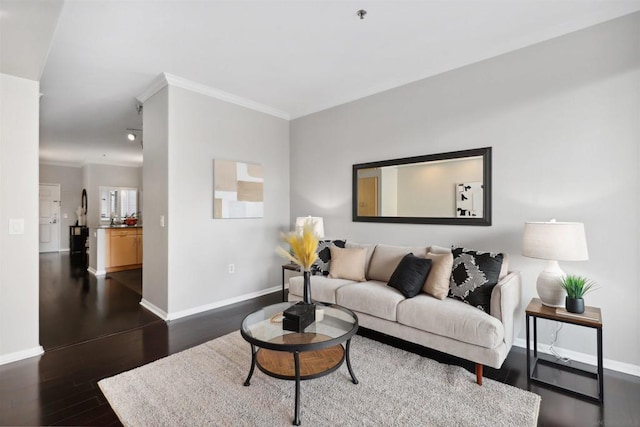 living room featuring crown molding and dark wood-type flooring