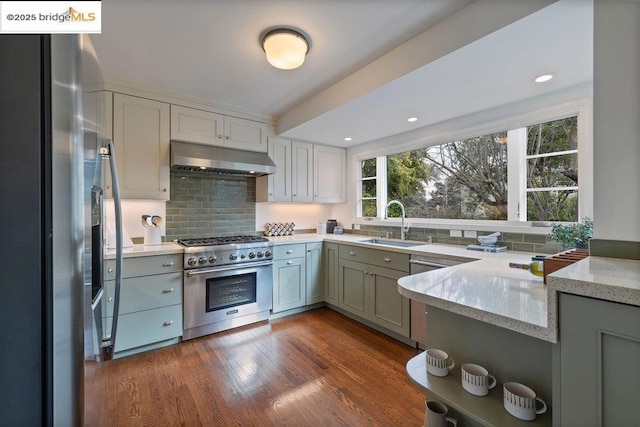 kitchen featuring dark wood-type flooring, sink, ventilation hood, appliances with stainless steel finishes, and decorative backsplash