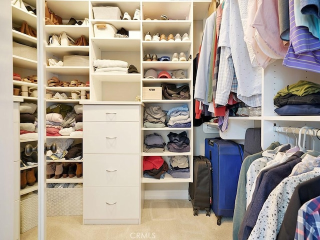 walk in closet featuring light carpet