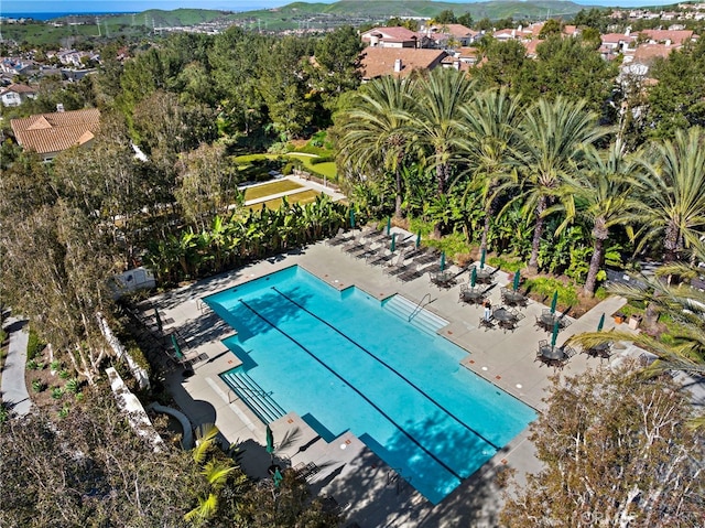 view of pool with a patio area