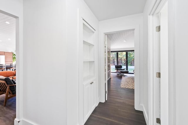 hallway featuring dark wood-type flooring