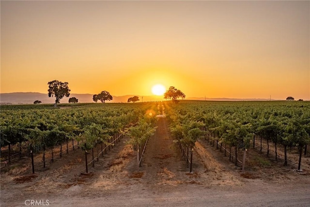 nature at dusk featuring a rural view