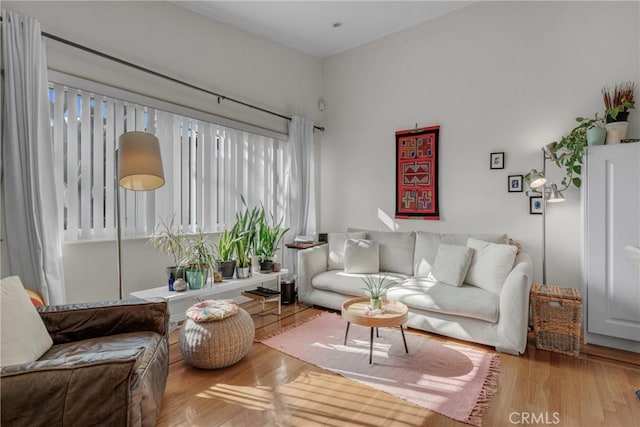 living room featuring light hardwood / wood-style floors