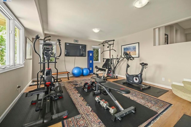 workout room featuring hardwood / wood-style flooring