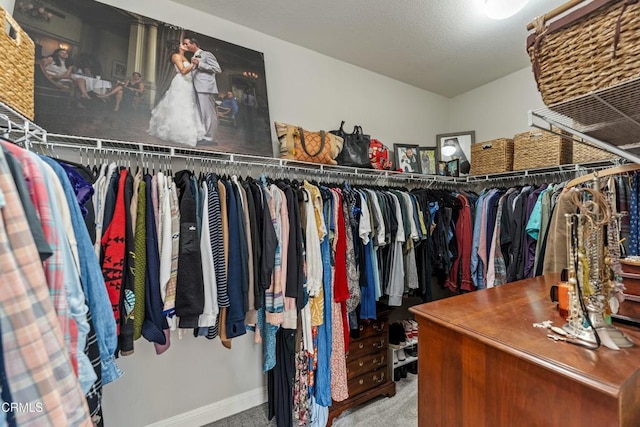 spacious closet featuring carpet flooring