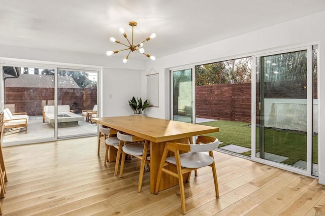 dining space featuring an inviting chandelier and light hardwood / wood-style flooring