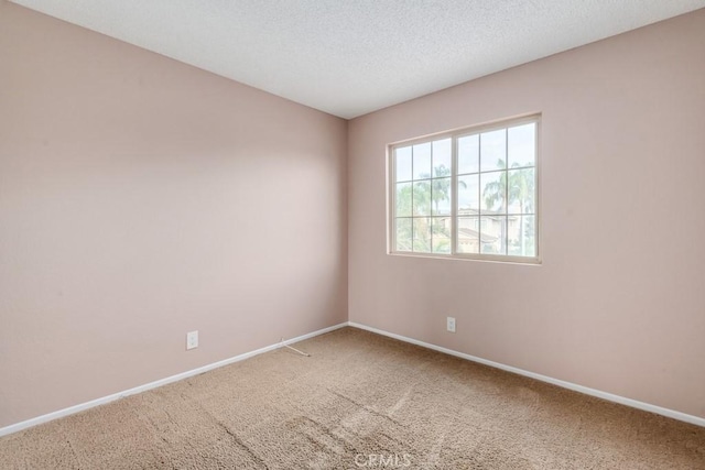 spare room with carpet floors and a textured ceiling