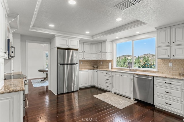 kitchen with sink, dark wood-type flooring, appliances with stainless steel finishes, white cabinets, and a raised ceiling