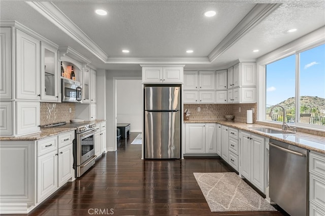 kitchen featuring stainless steel appliances, a raised ceiling, and white cabinets