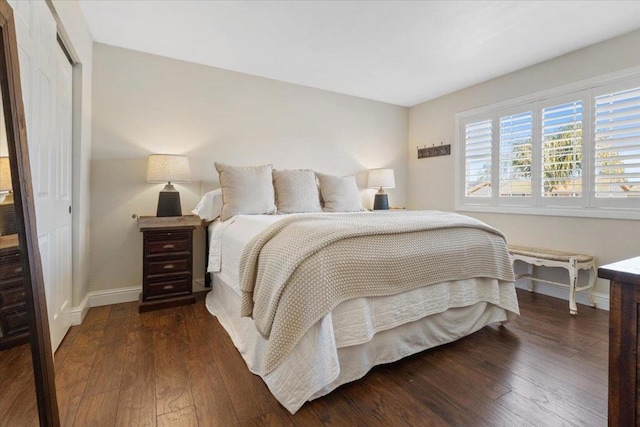 bedroom featuring dark hardwood / wood-style floors and a closet